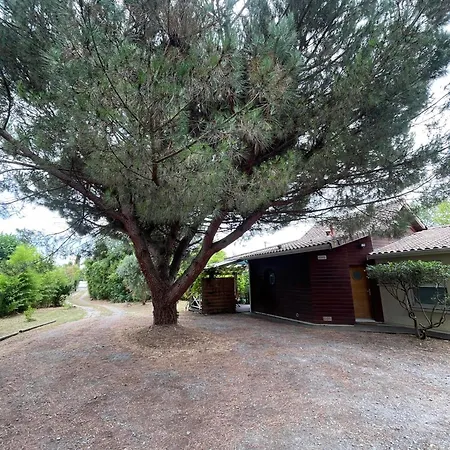 Du Lys Eysines